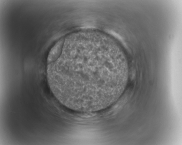 X0000088701255200706211938