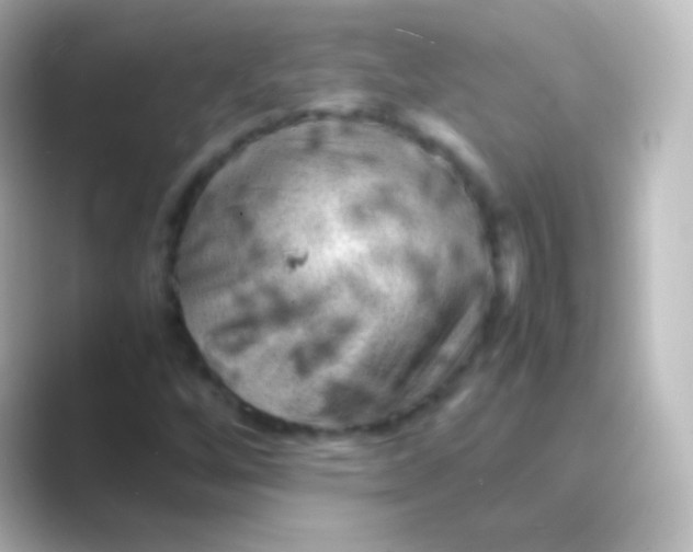 X0000088701256200706211938