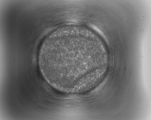 X0000088701259200706211938