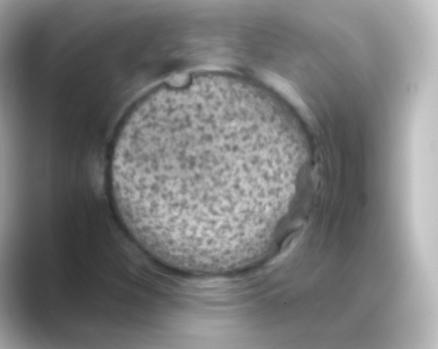 X0000088701260200706211938