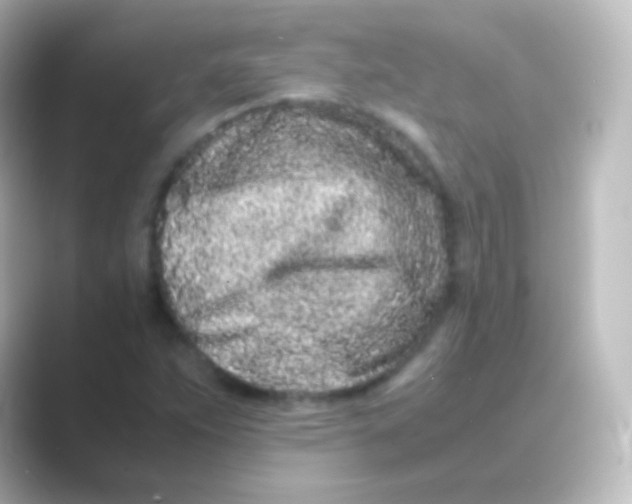 X0000088701263200706211938
