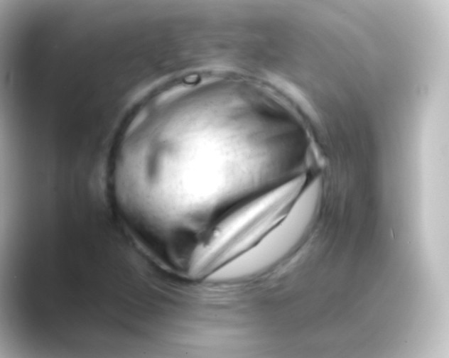 X0000088701264200706211938