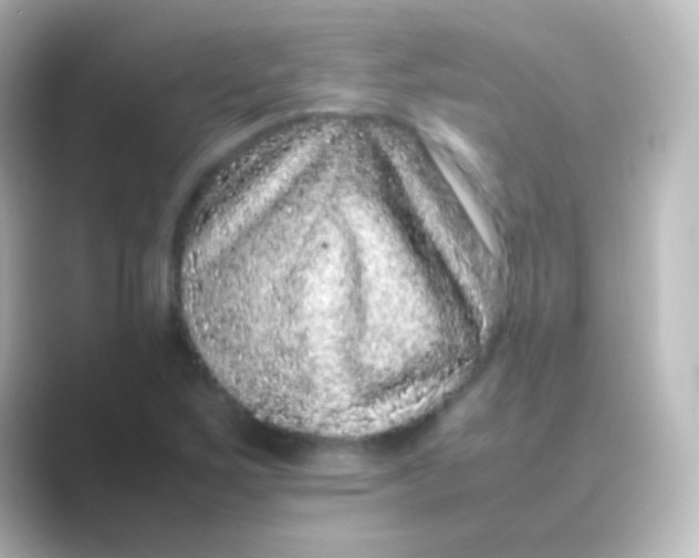 X0000088701267200706211938