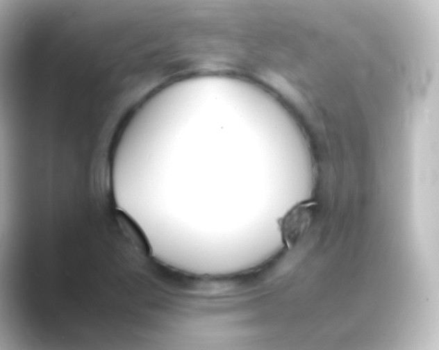 X0000088701269200706211938