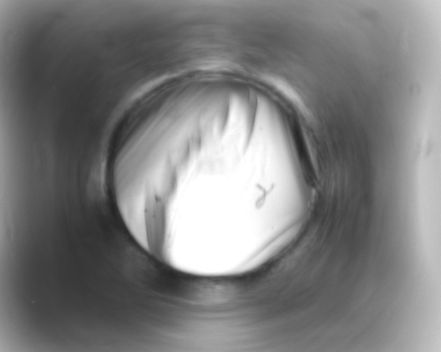 X0000088701270200706211938