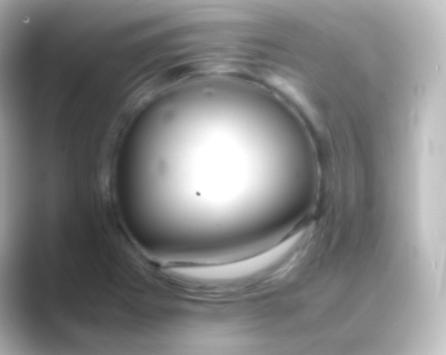 X0000088701273200706211938