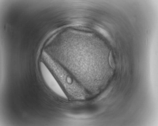 X0000088701275200706211938