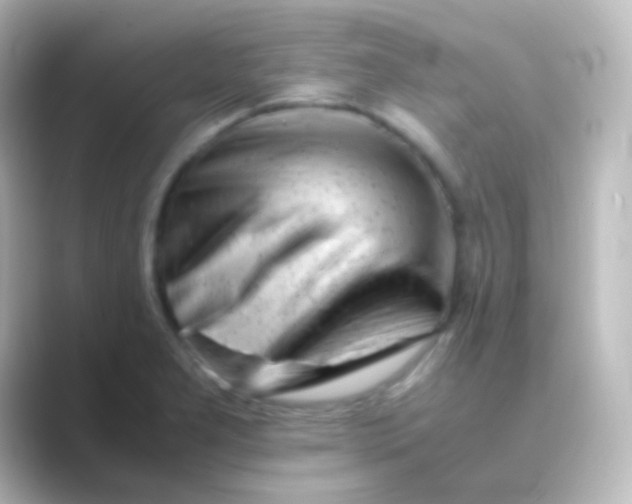 X0000088701277200706211938