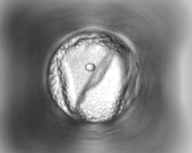 X0000088701279200706211938