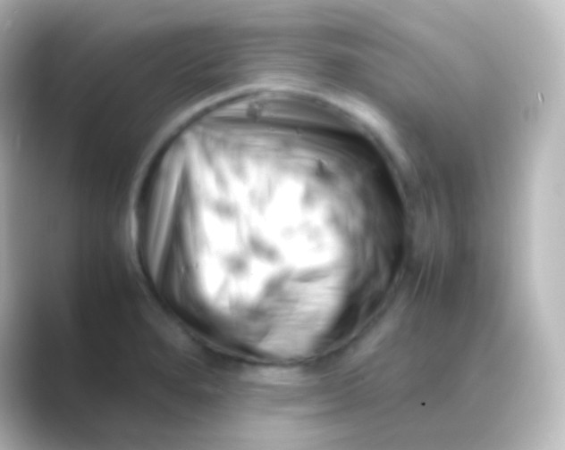 X0000088701280200706211938