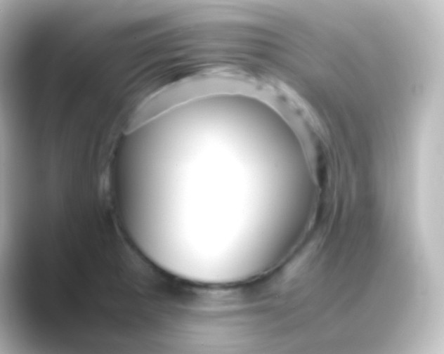 X0000088701281200706211938