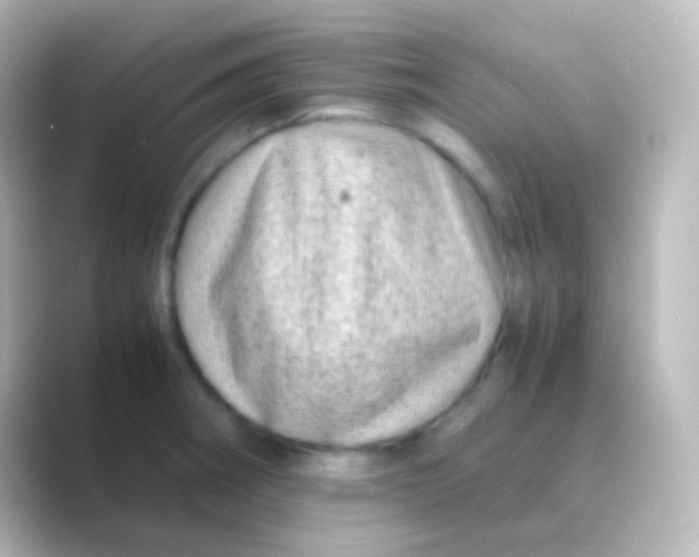 X0000088701282200706211938