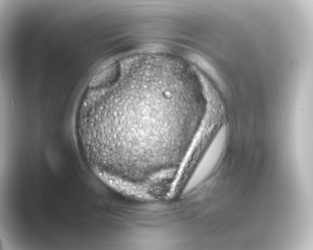 X0000088701283200706211938