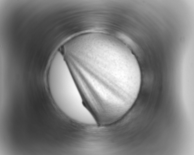 X0000088701284200706211938