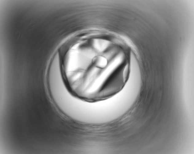 X0000088701287200706211938