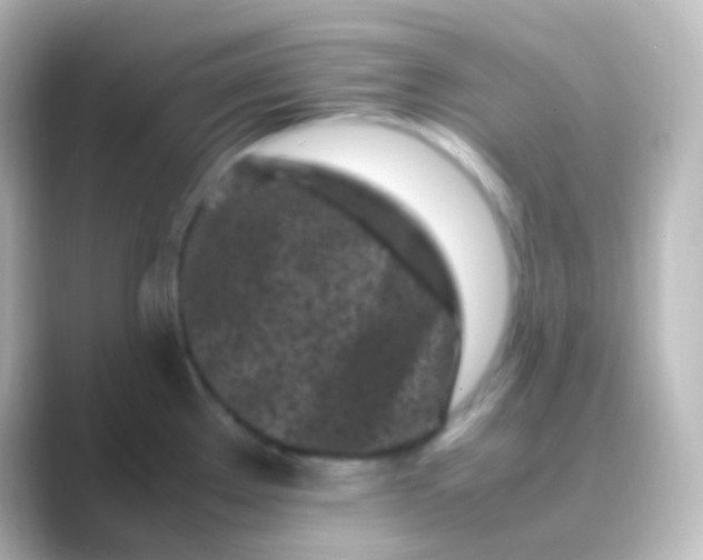 X0000088701289200706211938