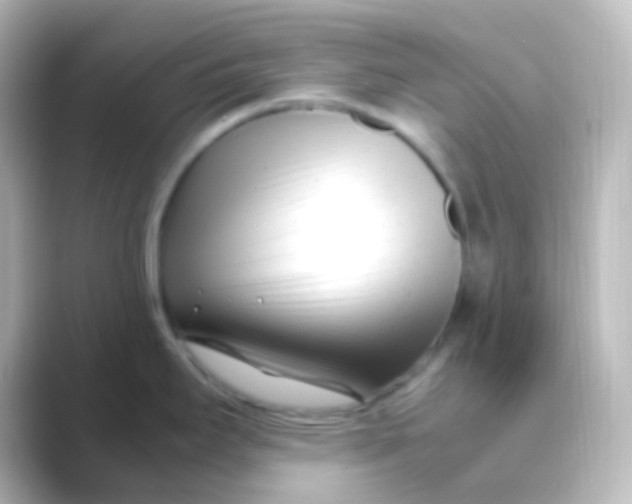 X0000088701295200706211938