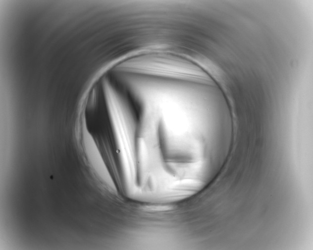 X0000088701296200706211938