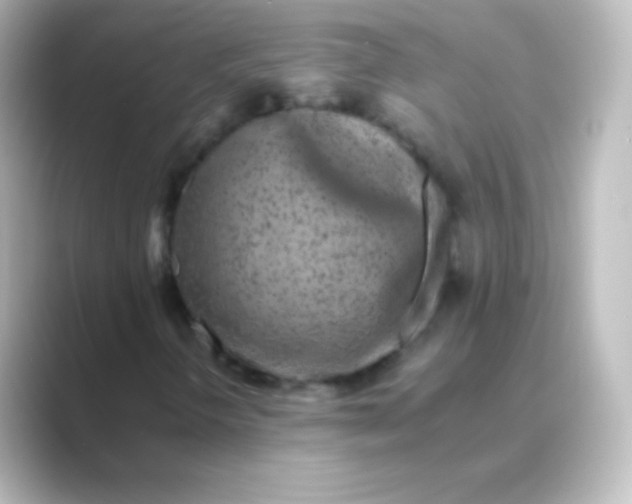 X0000088701298200706211937