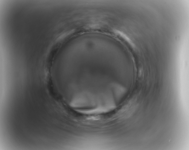 X0000088701303200706211937