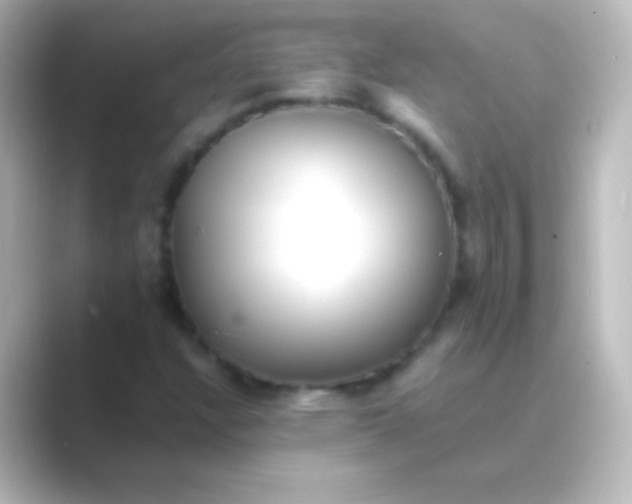 X0000088701304200706211937