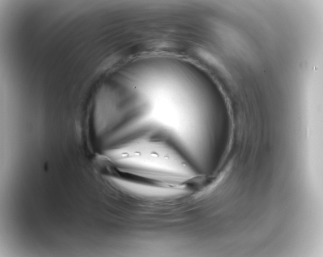 X0000088701305200706211937