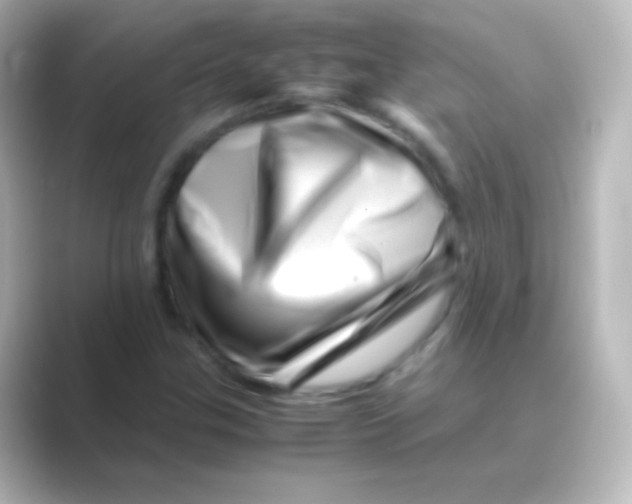 X0000088701307200706211937