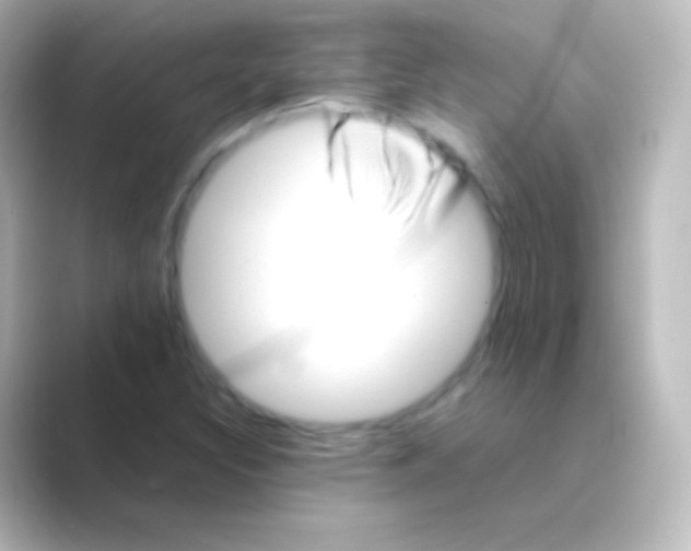 X0000088701308200706211937