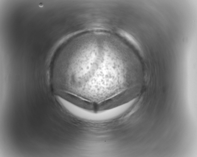 X0000088701310200706211937
