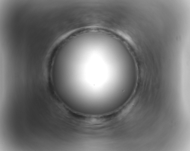 X0000088701311200706211937