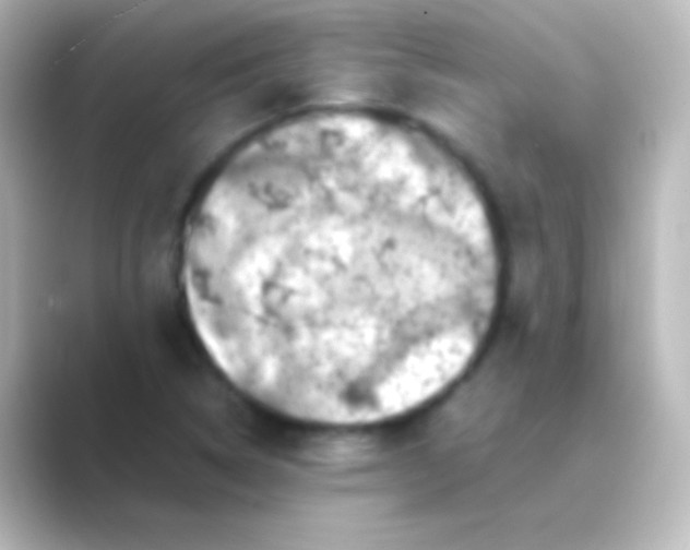 X0000088701314200706211937