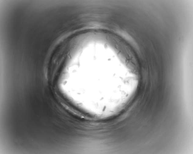 X0000088701318200706211937
