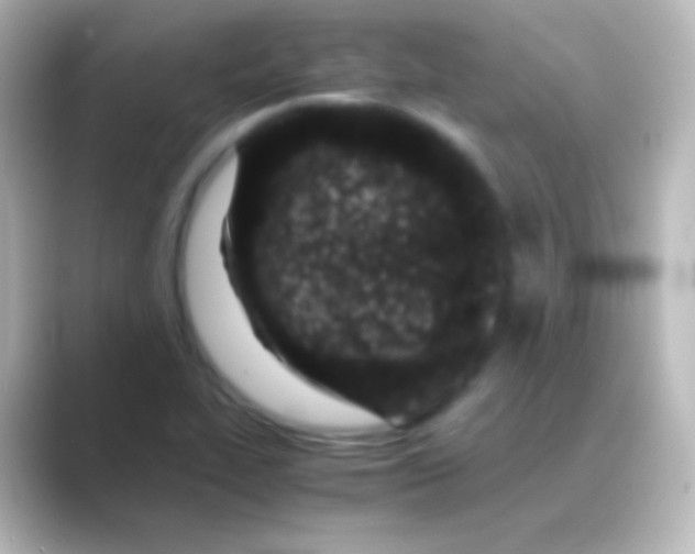 X0000088701319200706211937