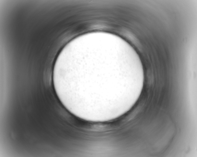 X0000088701322200706211937