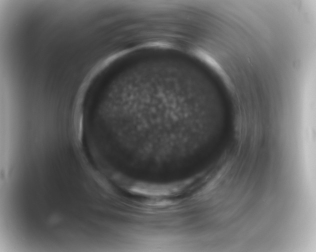 X0000088701323200706211937
