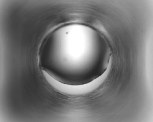 X0000088701324200706211937