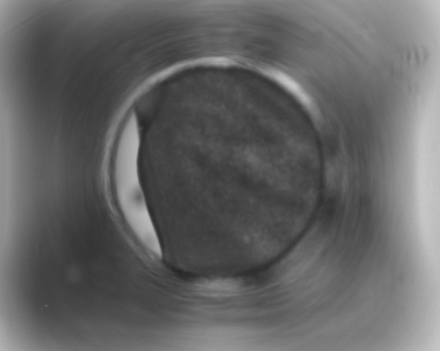 X0000088701327200706211938