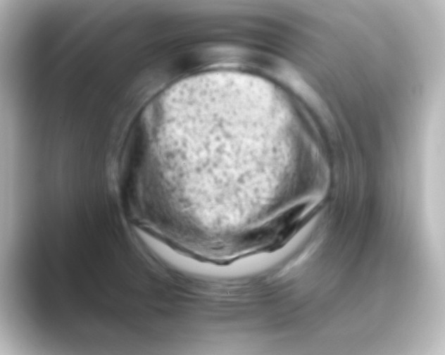 X0000088701329200706211938