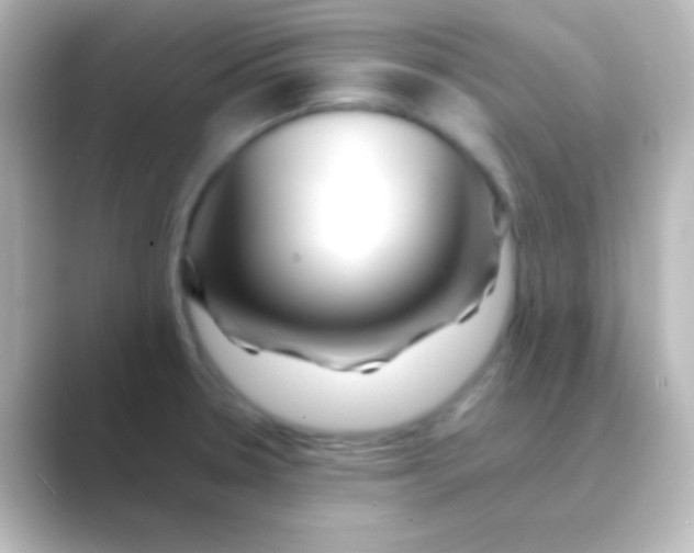 X0000088701330200706211938