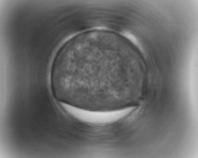 X0000088701331200706211938