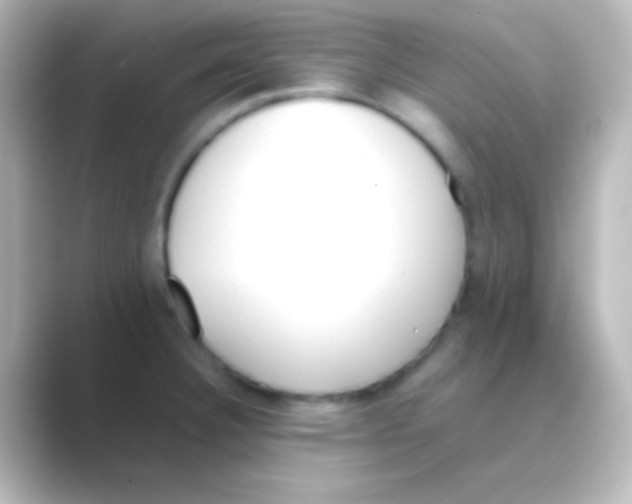 X0000088701332200706211938