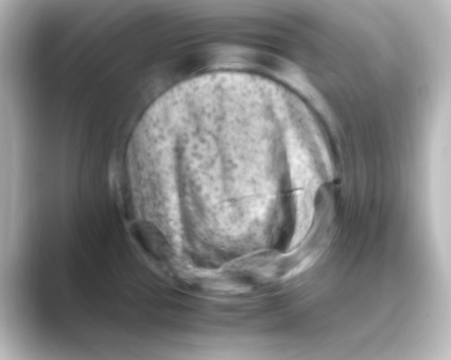X0000088701337200706211938