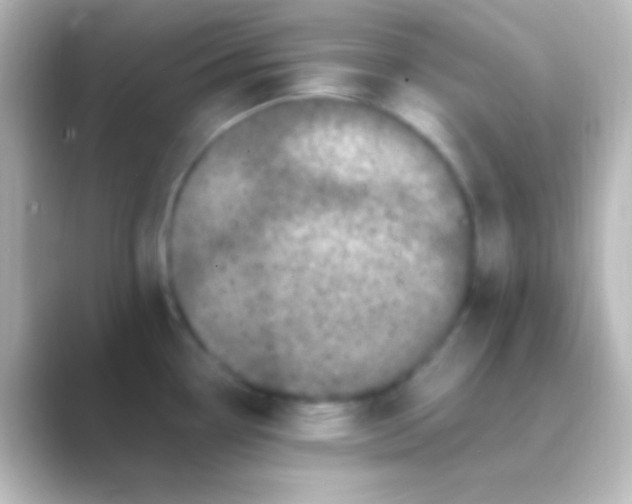 X0000088701338200706211938