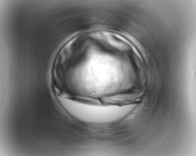 X0000088701341200706211938