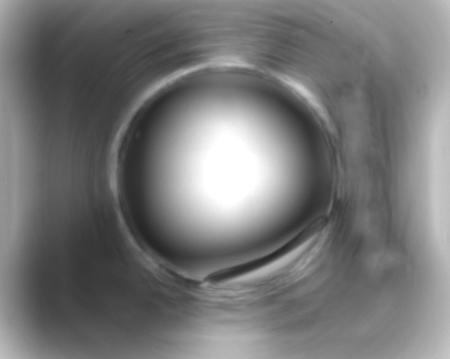 X0000088701342200706211938
