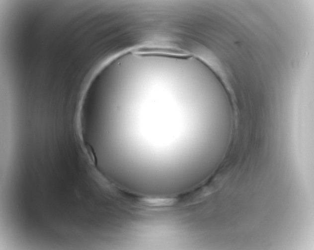 X0000088701344200706211938