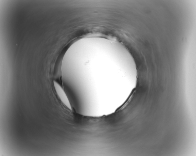 X0000088701345200706211937