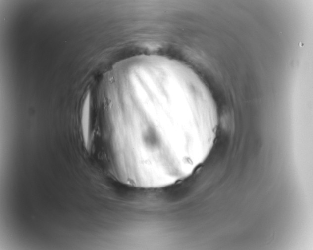 X0000088701347200706211937