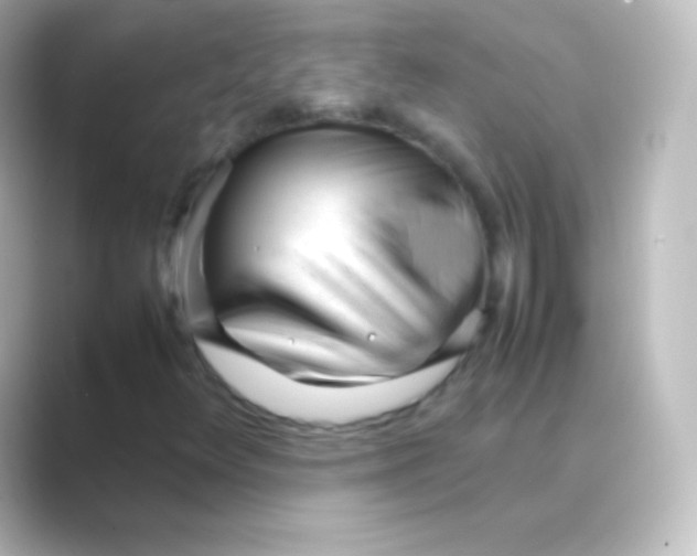 X0000088701348200706211937