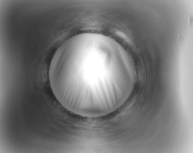 X0000088701350200706211937